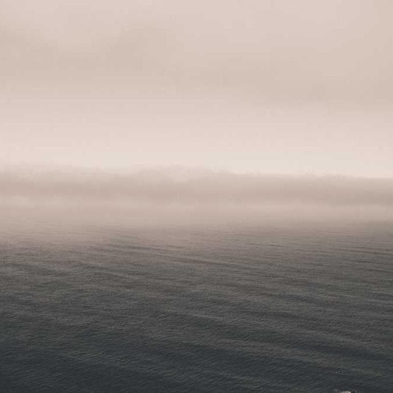 [EN] Flexi Leash New Classic S (Snow laudantium #027)