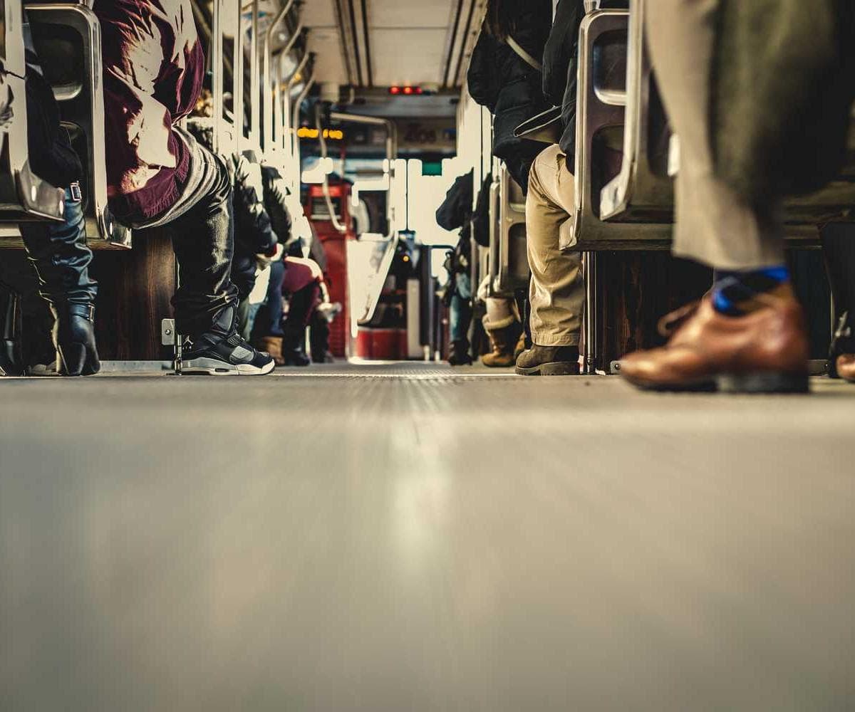 [EN] PetRebels Wall of Rebels scratching post (SpringGreen consectetur #357)