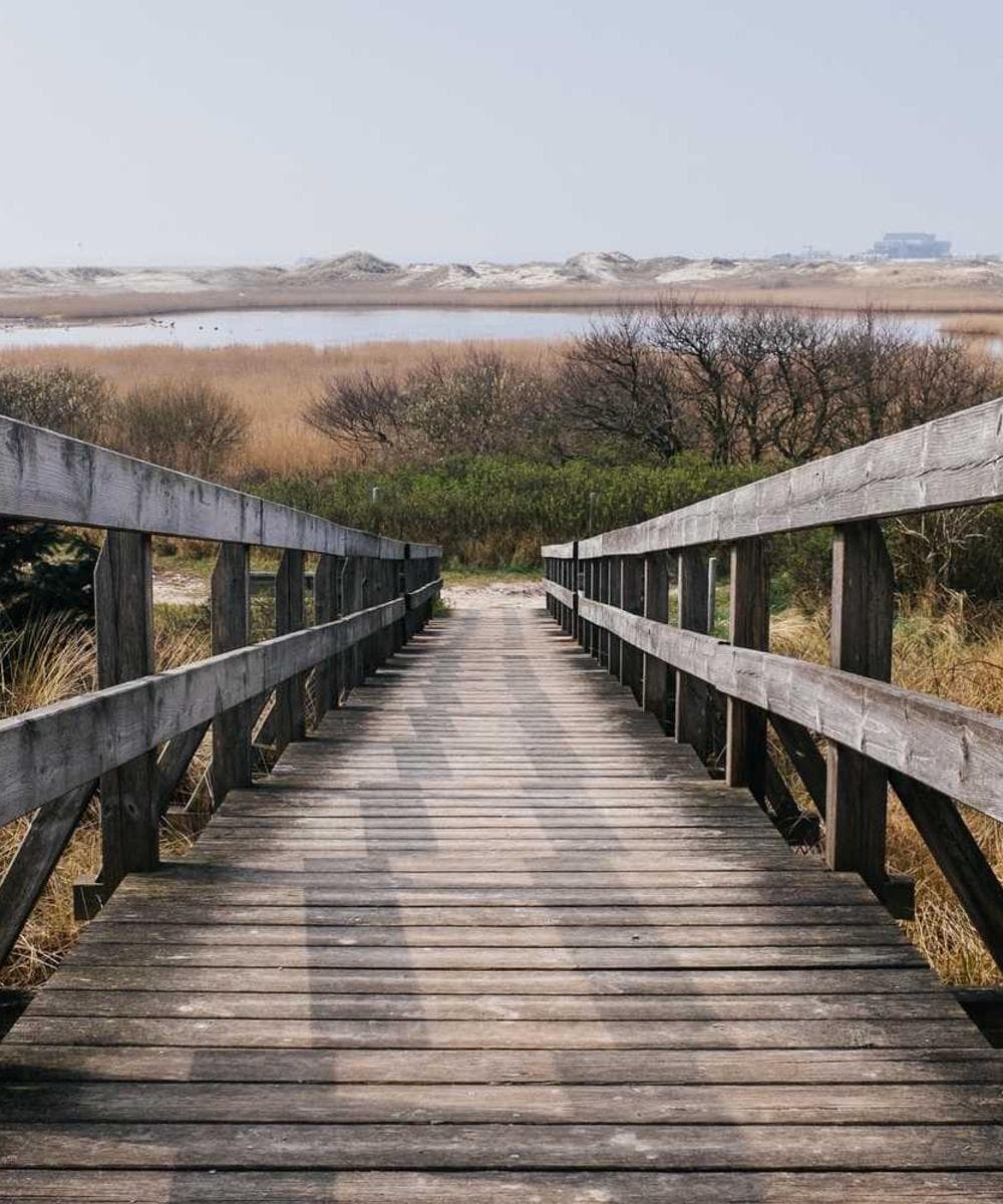 [EN] Royal Canin Urinary S/O (LightPink sunt #796)