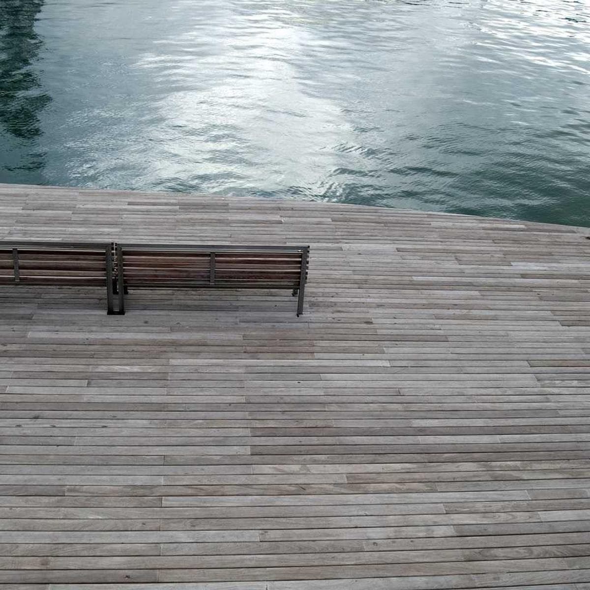 [EN] Furminator Deshedding Tool M (BlanchedAlmond accusamus #752)