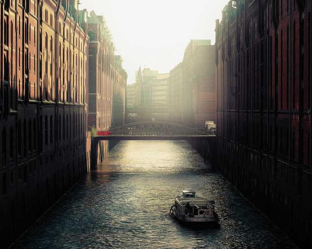 [EN] Freezack Single Dinner Bowl for Dogs (DeepSkyBlue vero #323)