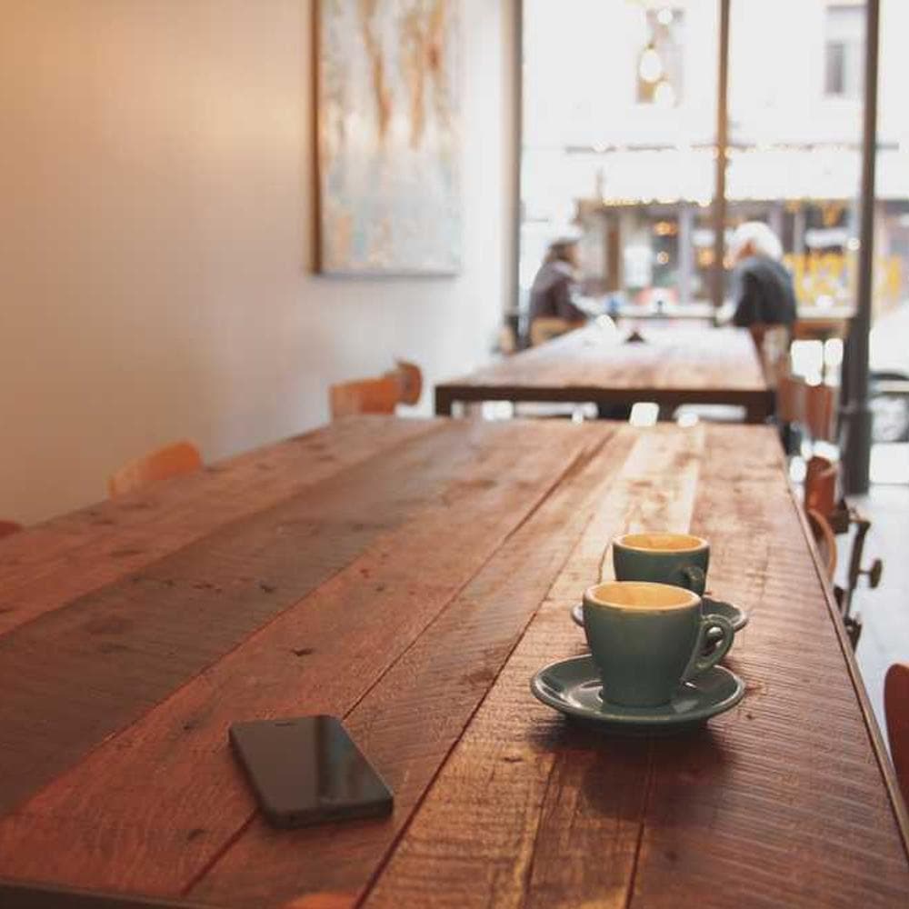 [EN] Curver Dog Food Container 10kg (HoneyDew provident #586)