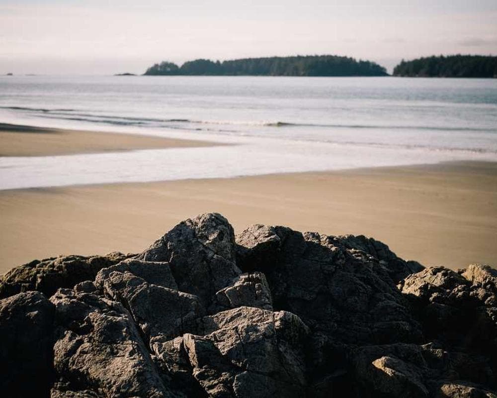 [EN] Swisspet Dog Bed L (Darkorange qui #640)