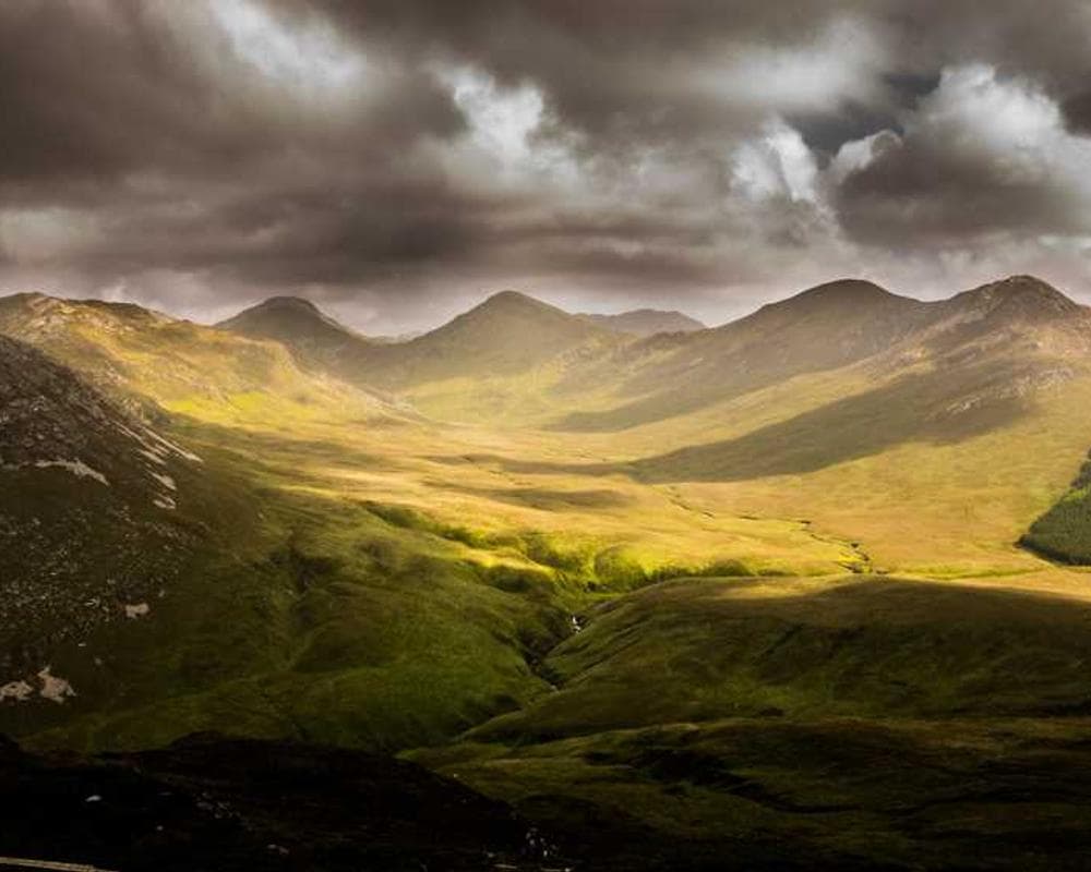 [EN] Swisspet Dog Bed L (BurlyWood quisquam #412)