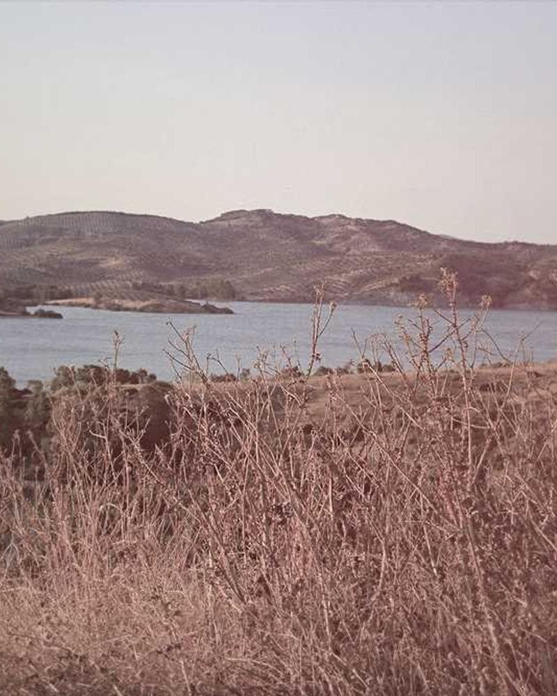 [EN] bePURE Liquid Chicken Snack (LightCoral soluta #987)