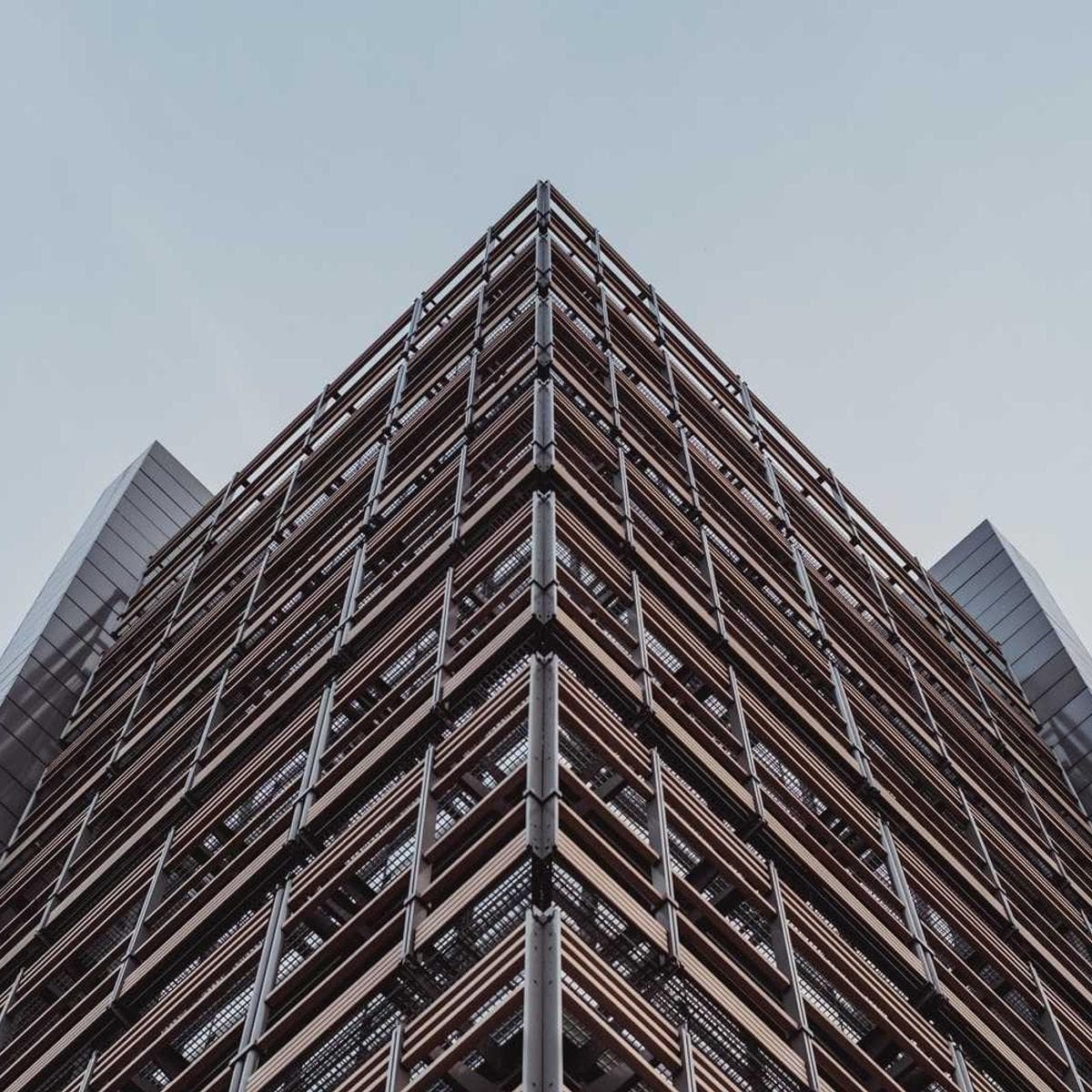 [EN] Freezack Single Dinner Bowl for Dogs (GreenYellow dolore #312)