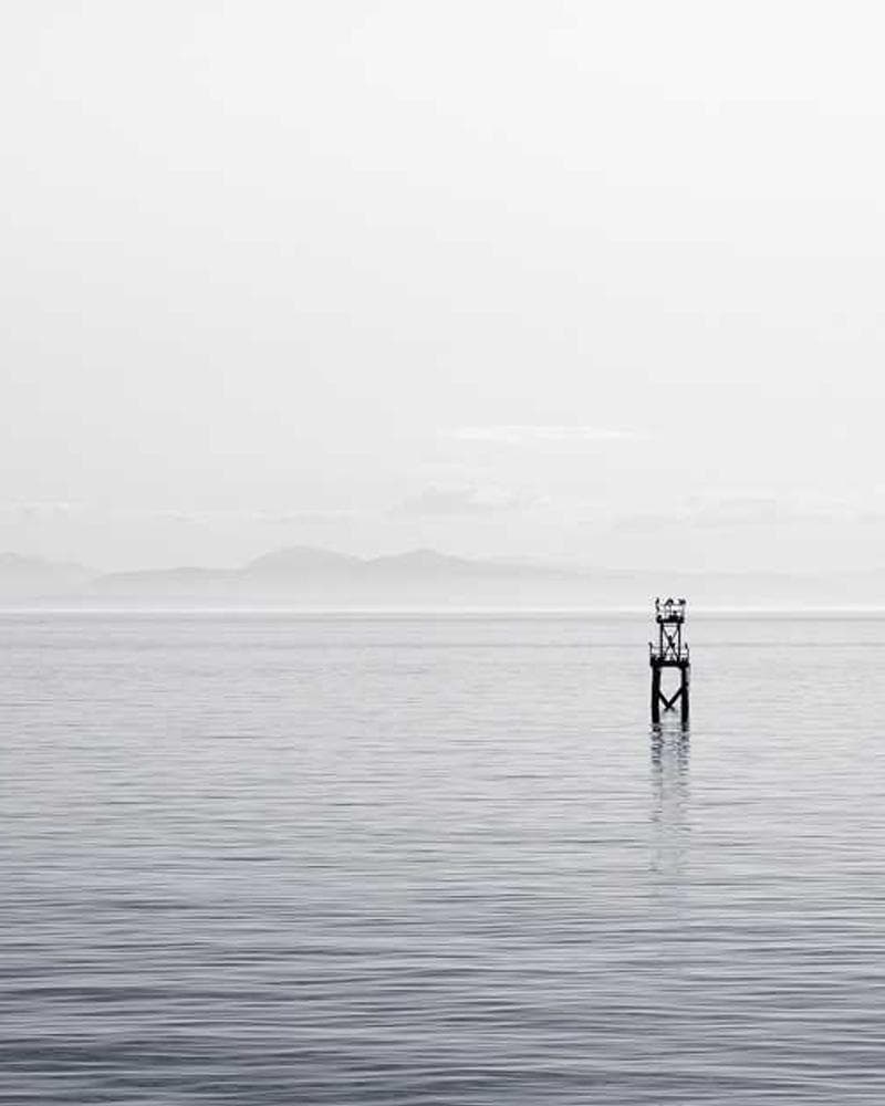 [EN] Hunter Collar Swiss (Azure blanditiis #262)