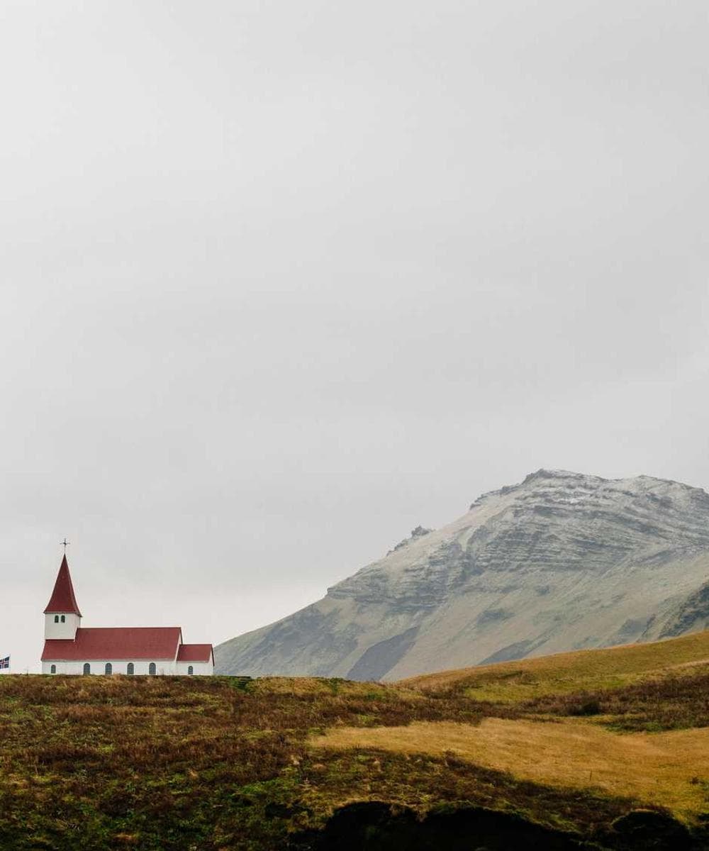 [EN] Trixie Cat Toy Mouse (OldLace doloremque #442)