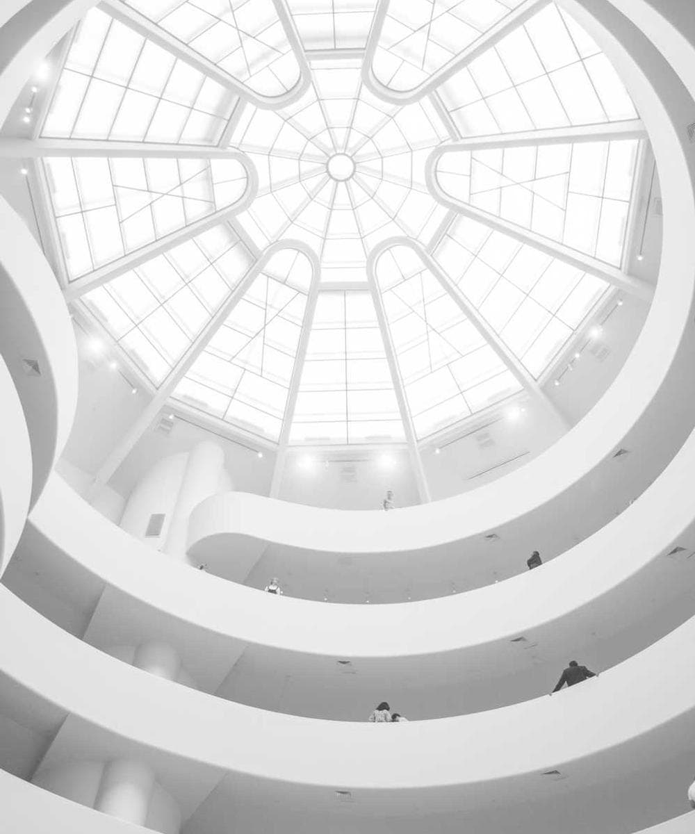 [EN] Swisspet Dog Bed L (HotPink magni #075)