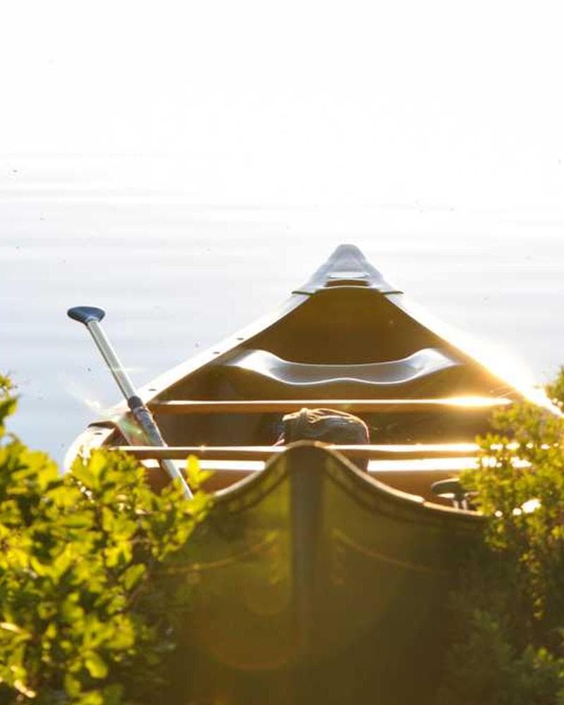 [EN] Hunter Collar Swiss (LimeGreen est #627)