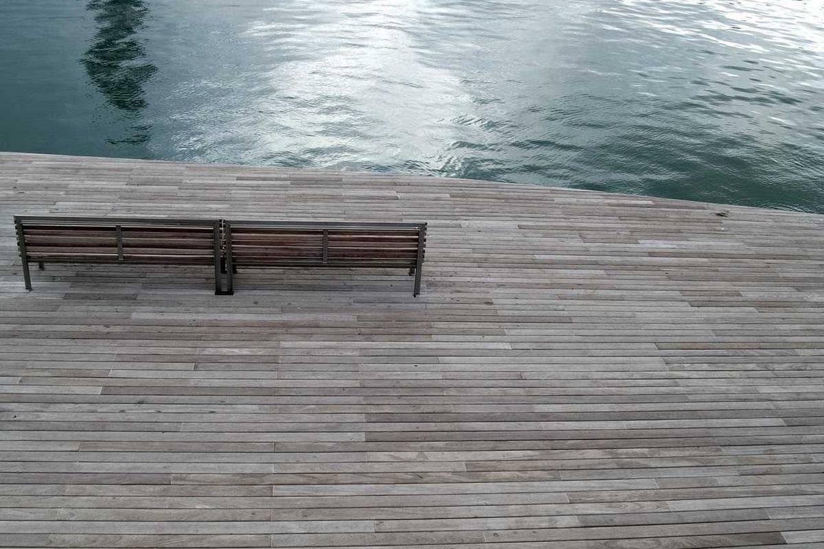 [EN] Freezack Single Dinner Bowl for Dogs (Azure et #440)