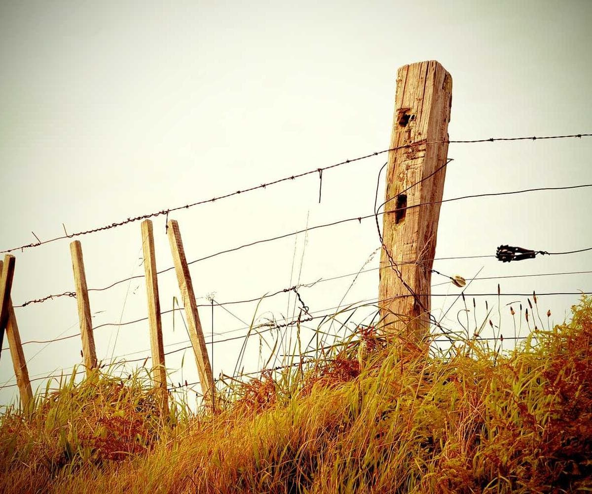 [EN] Flexi Leash New Classic S (CadetBlue doloremque #544)