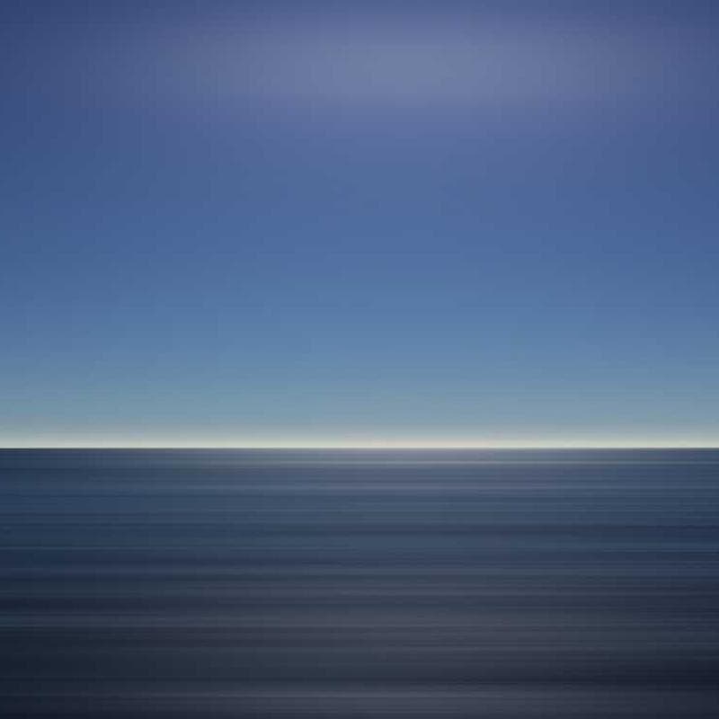 [EN] Hunter Collar Swiss (DarkOrchid deleniti #781)