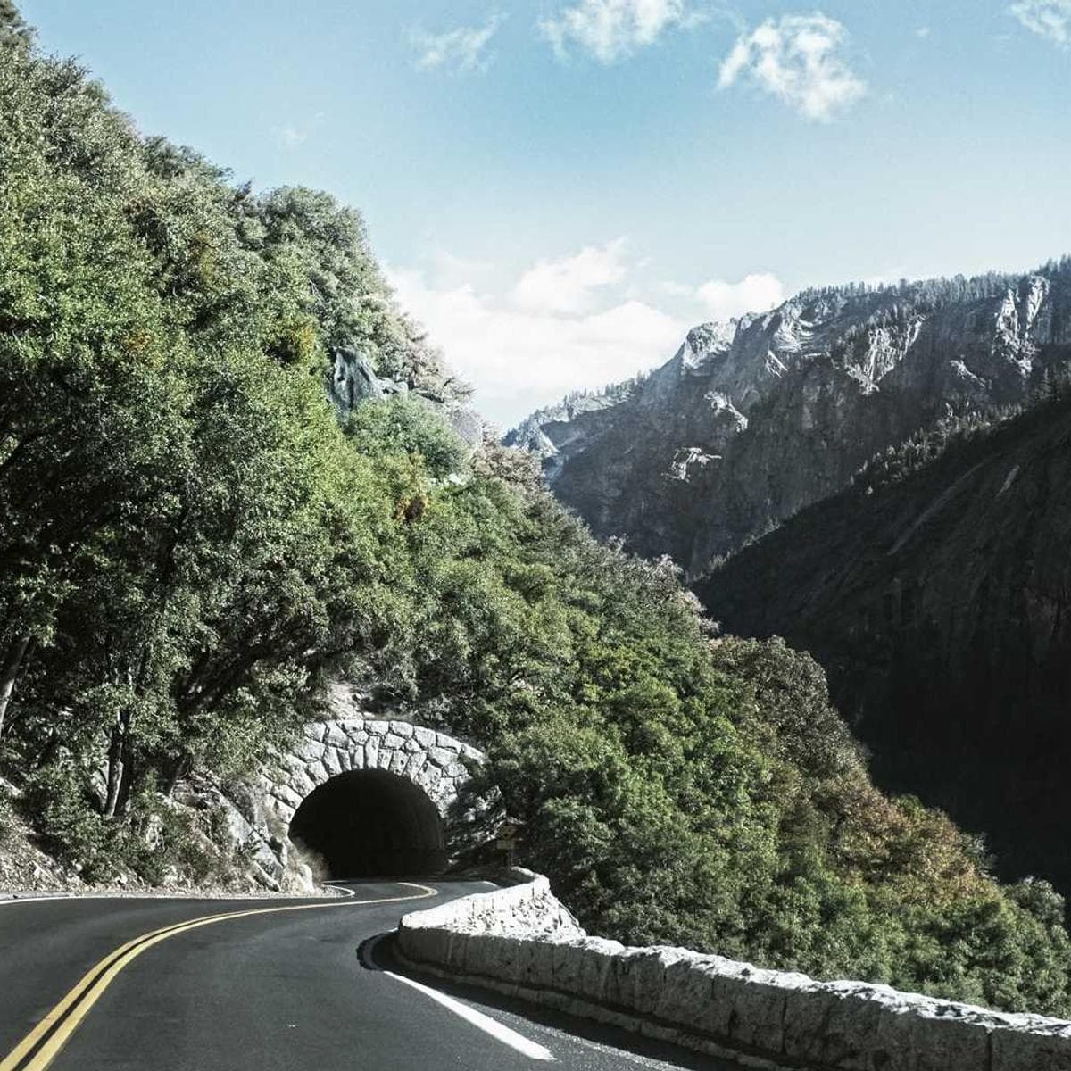 [EN] Freezack Single Dinner Bowl for Dogs (SlateBlue maxime #134)