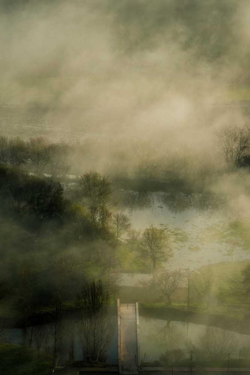 [EN] Trixie Cat Toy Mouse (MidnightBlue unde #655)