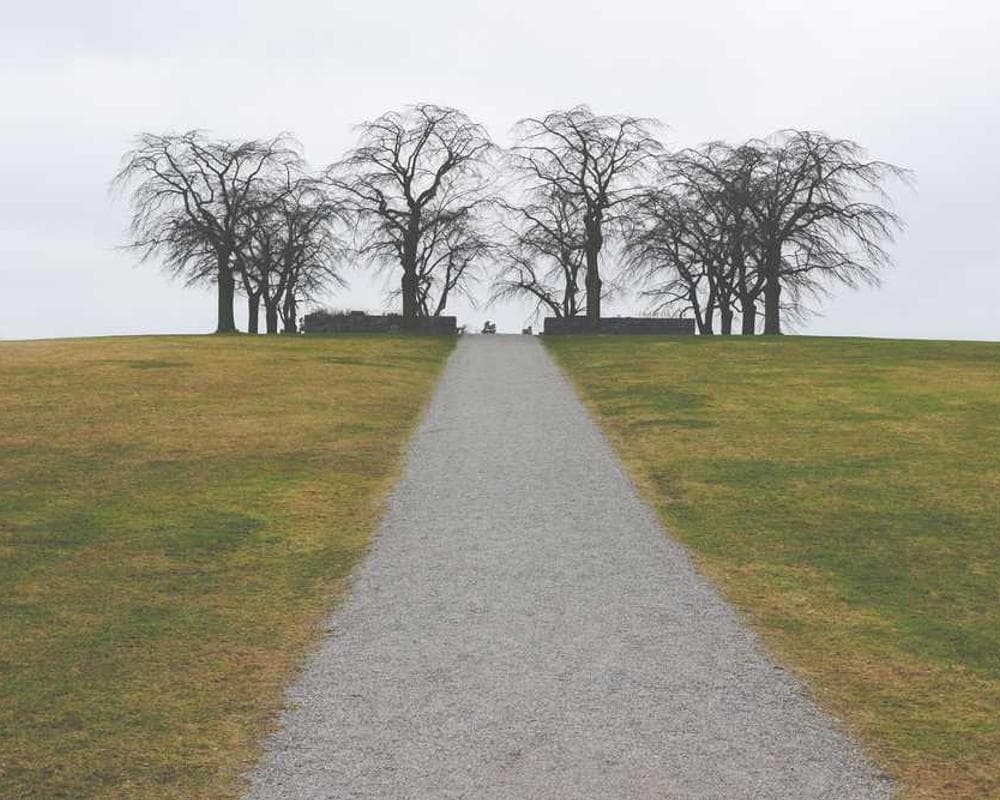 [EN] PetRebels Wall of Rebels scratching post (Navy in #384)