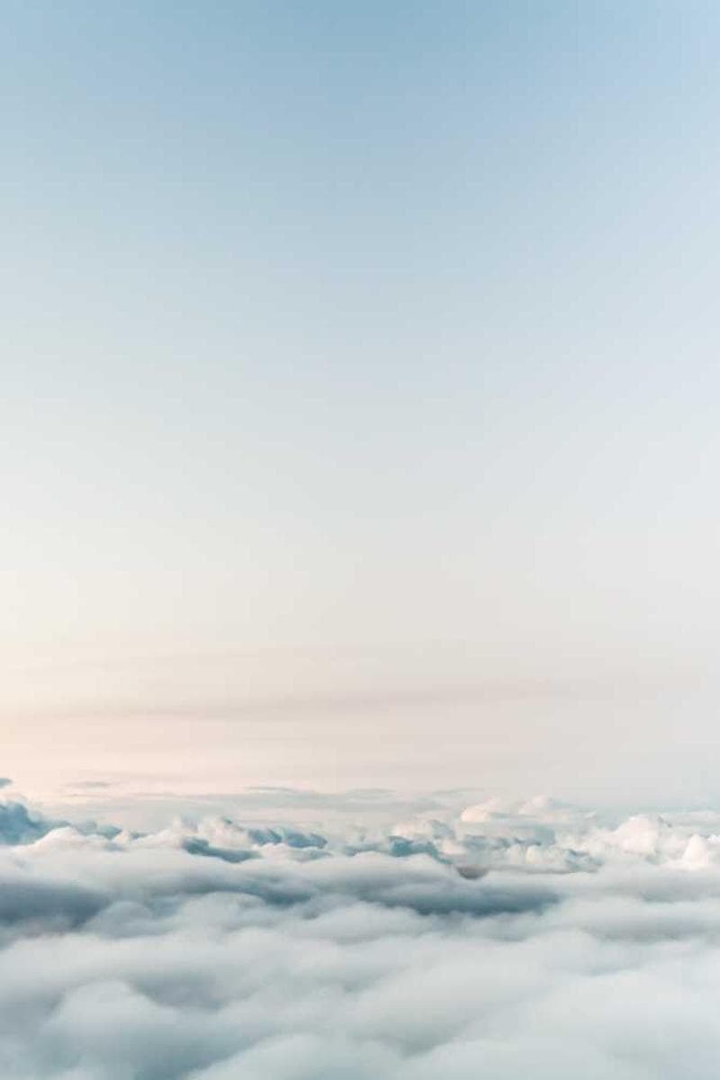 [EN] Freezack Single Dinner Bowl for Dogs (Khaki nisi #745)