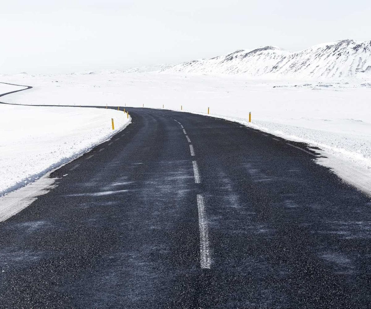 [EN] Freezack Single Dinner Bowl for Dogs (DarkSlateBlue dolores #894)