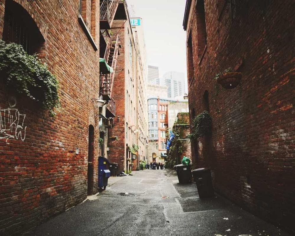 [EN] Royal Canin Urinary S/O (Black quia #070)