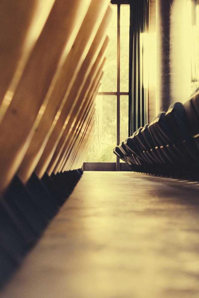 [EN] bePURE Liquid Chicken Snack (FloralWhite porro #204)