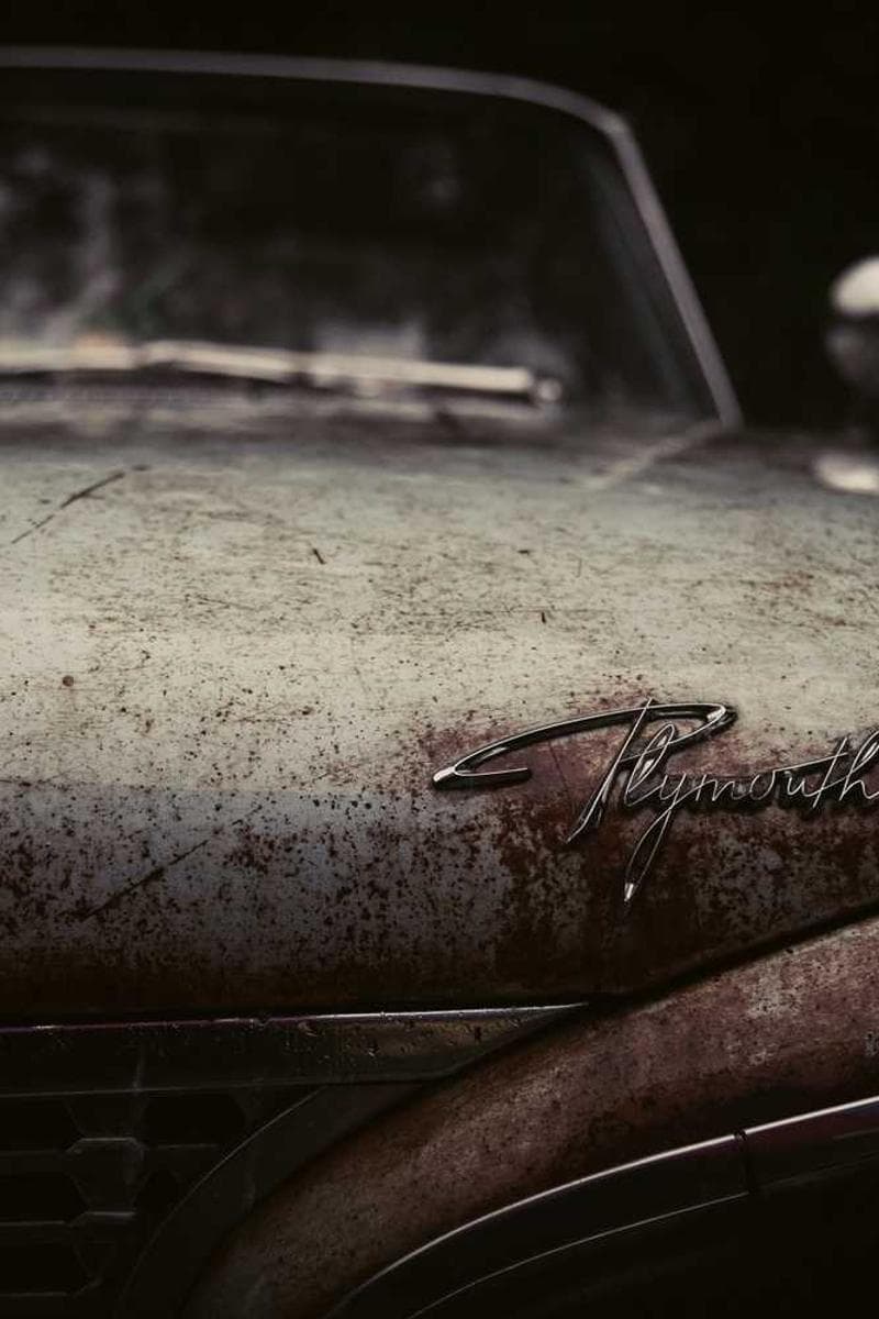 [EN] PetRebels Wall of Rebels scratching post (Moccasin ut #000)