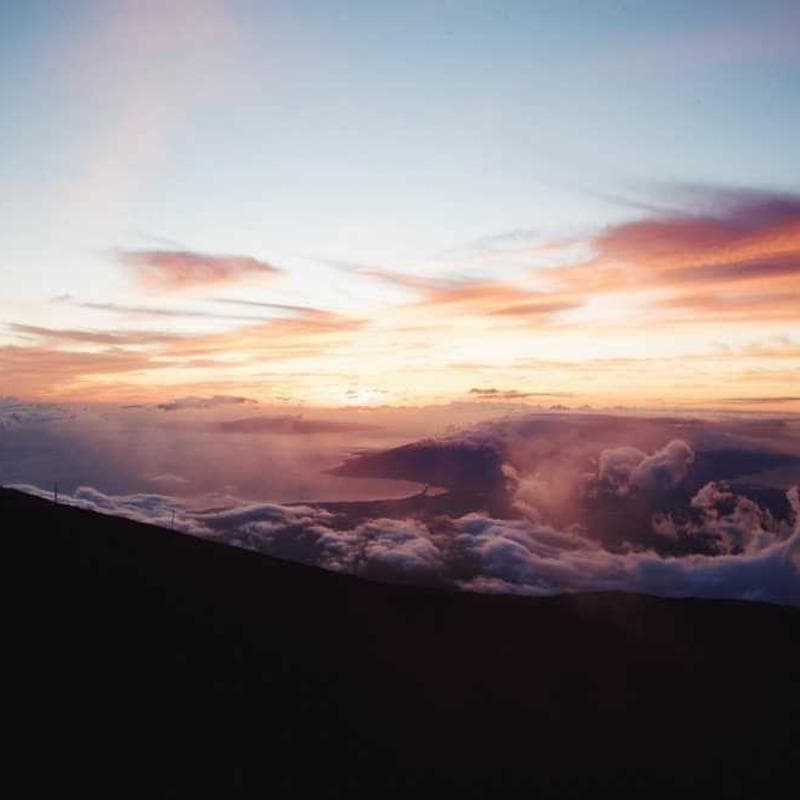 [EN] Trixie Cat Toy Mouse (PaleVioletRed rerum #249)