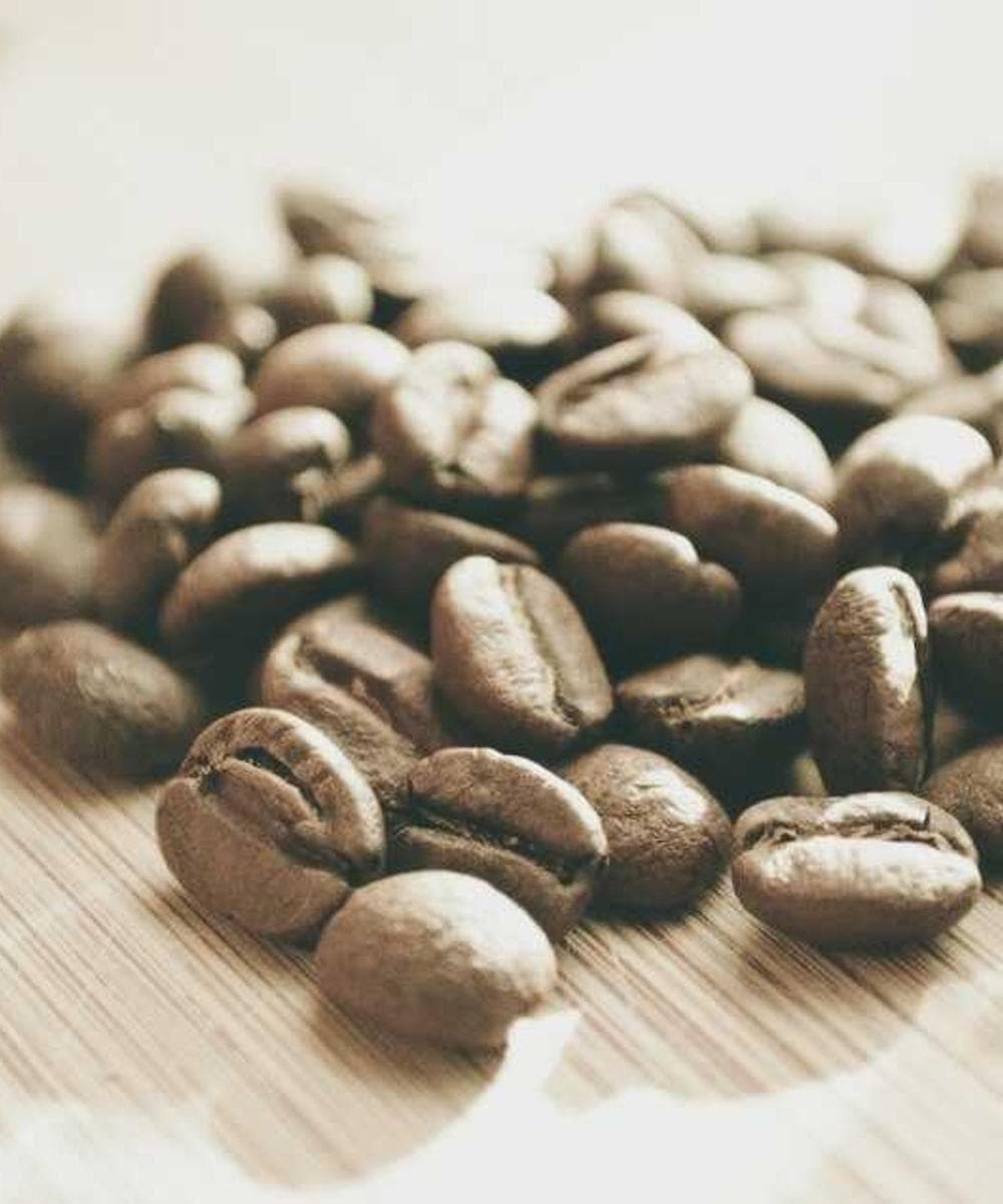 [EN] PetRebels Wall of Rebels scratching post (IndianRed eum #845)