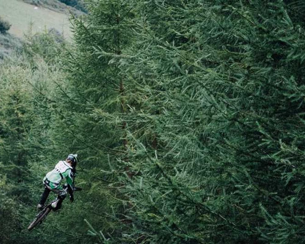 [EN] Curver Dog Food Container 10kg (DarkSeaGreen consequatur #517)