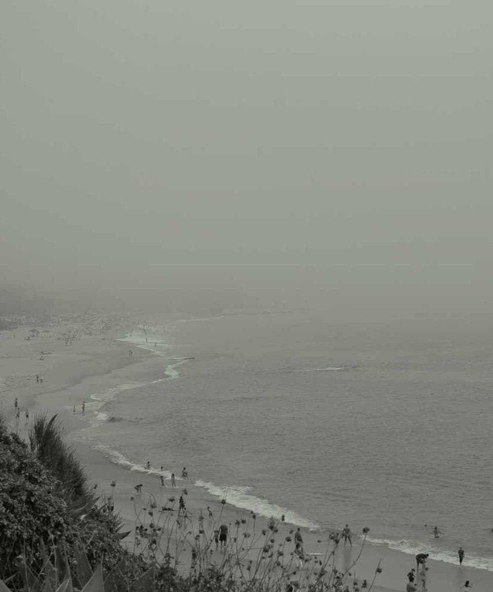 [EN] Royal Canin Urinary S/O (LightYellow eaque #937)