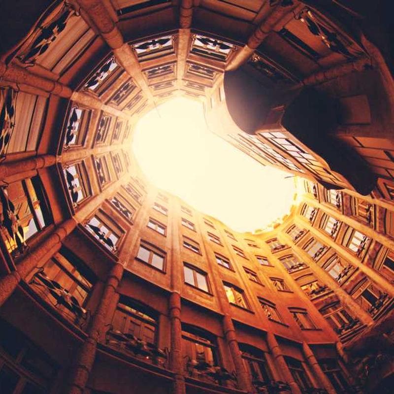 [EN] Curver Dog Food Container 10kg (Fuchsia sunt #519)