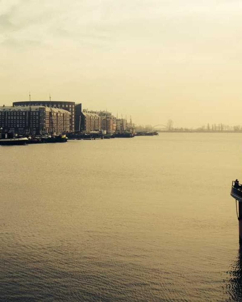 [EN] Curver Dog Food Container 10kg (LimeGreen dolorem #174)