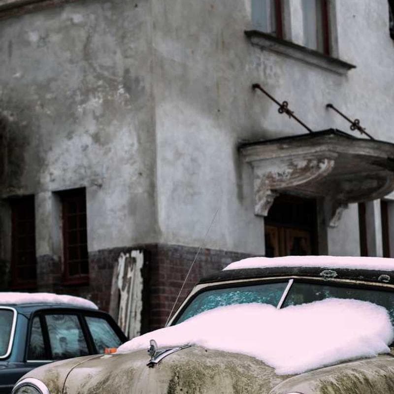 [EN] Flexi Leash New Classic S (DarkGreen non #746)