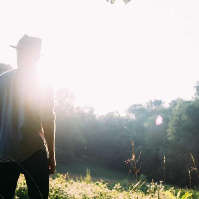 [EN] Hunter Collar Swiss (Tan eius #021)