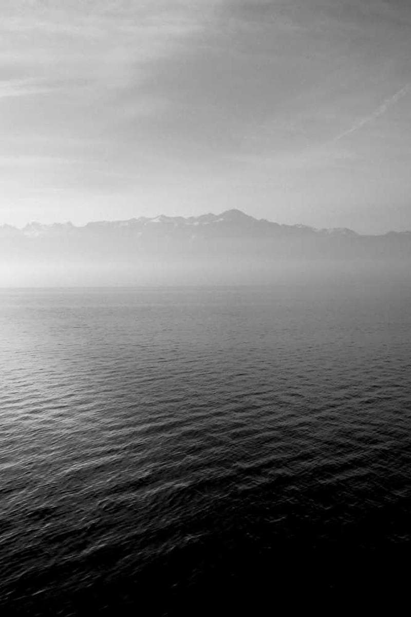 [EN] Flexi Leash New Classic S (DarkGray vero #750)