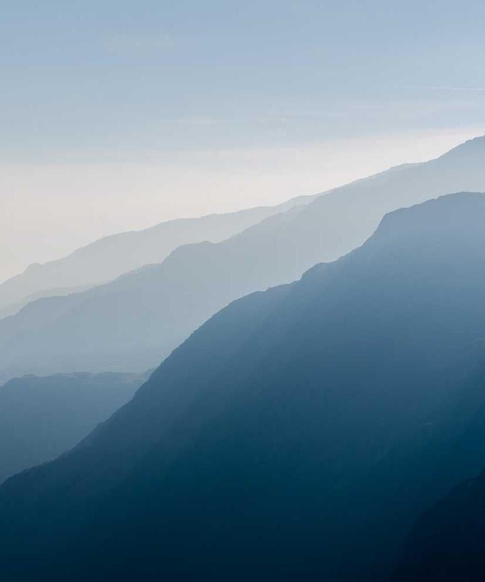 [EN] Curver Dog Food Container 10kg (OldLace vitae #270)