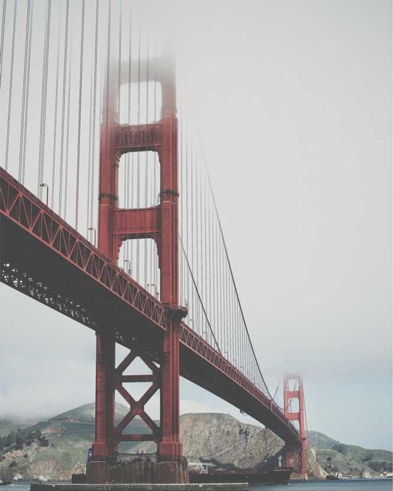 [EN] bePURE Liquid Chicken Snack (MediumOrchid natus #218)