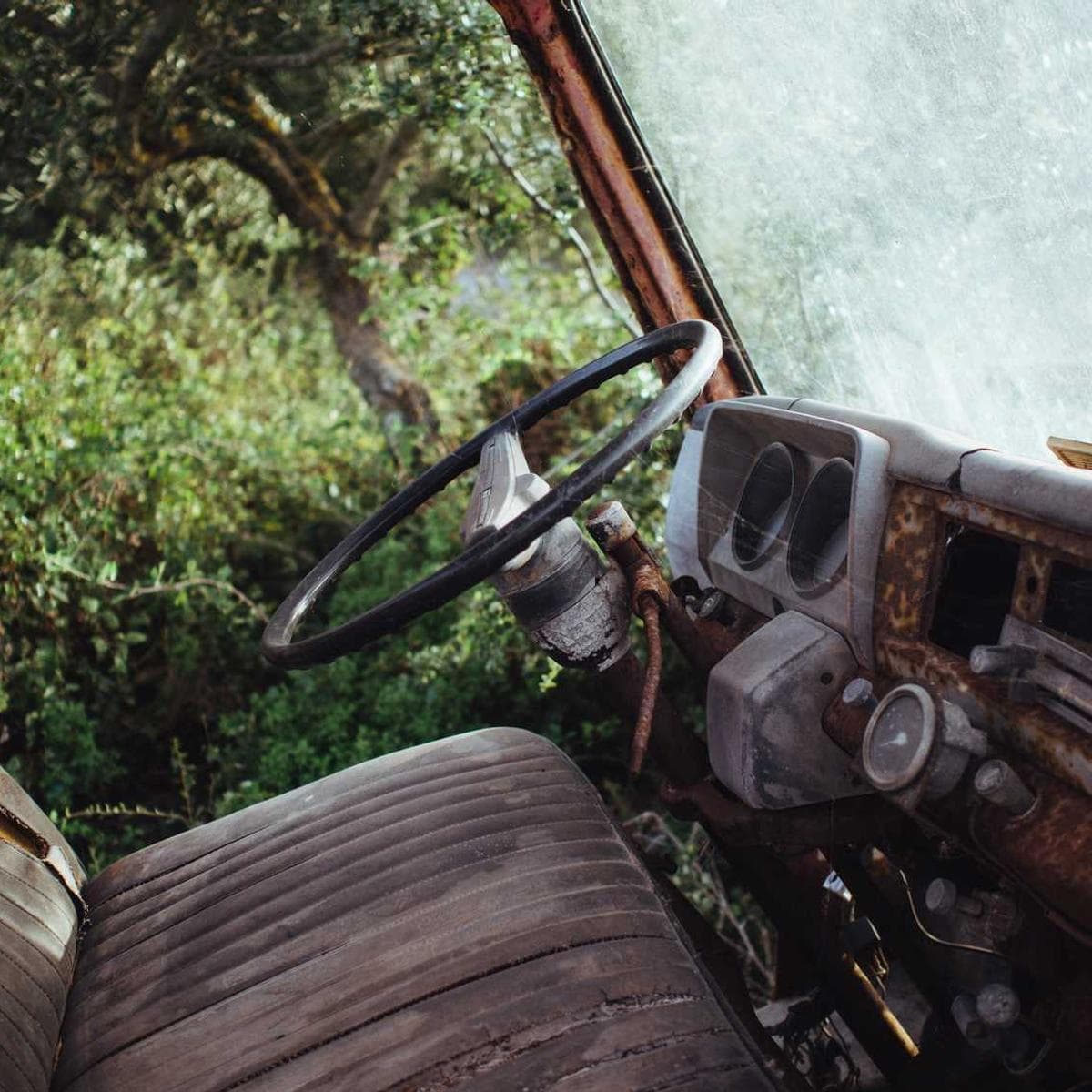 [EN] Curver Dog Food Container 10kg (Gold temporibus #457)