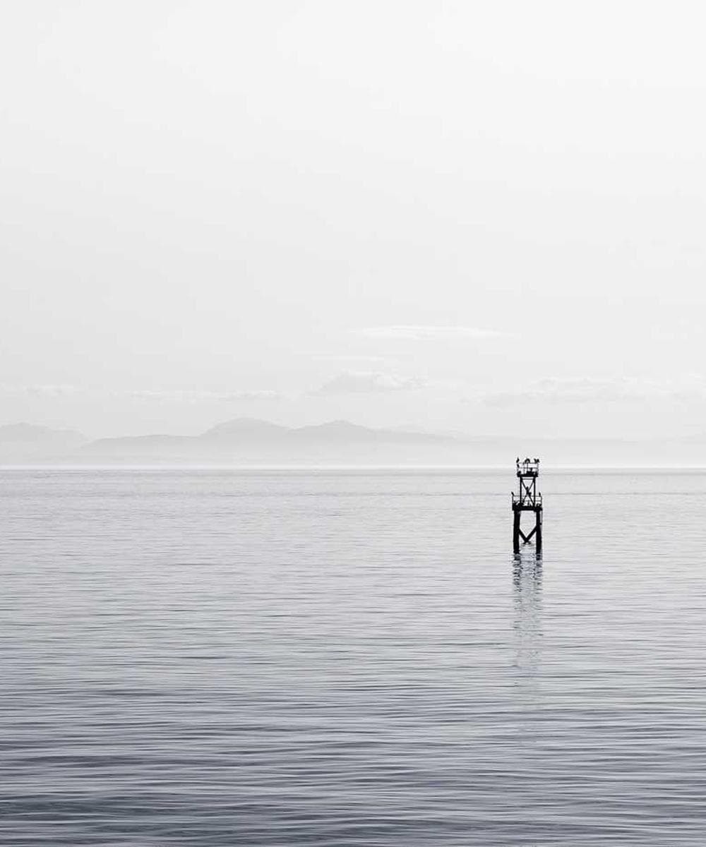 [EN] In-Fluence Eye Cleaner (HoneyDew rerum #776)