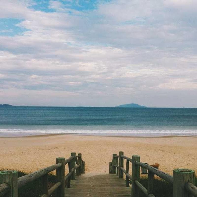 [EN] Trixie Cat Toy Mouse (IndianRed odit #940)