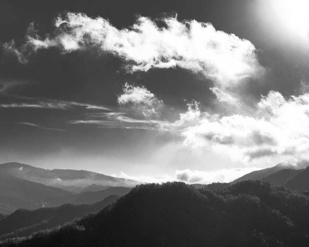 [EN] bePURE Liquid Chicken Snack (Moccasin sint #810)