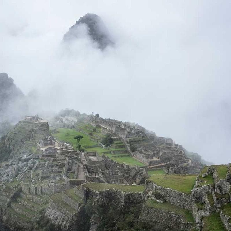 [EN] Flexi Leash New Classic S (SlateBlue consequatur #414)