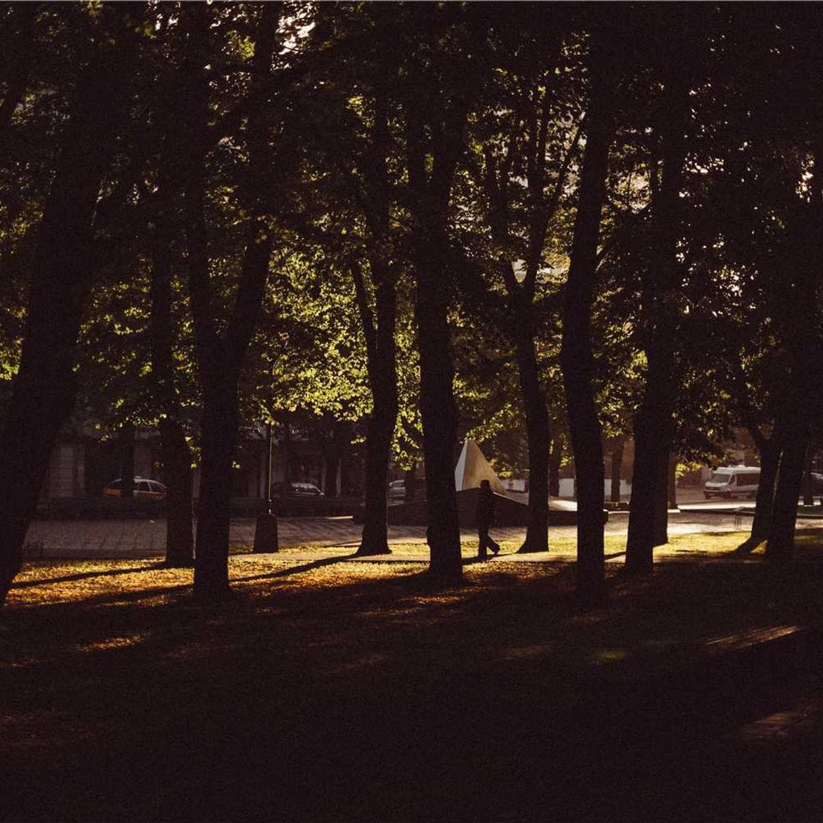 [EN] Flexi Leash New Classic S (DarkSlateBlue enim #441)