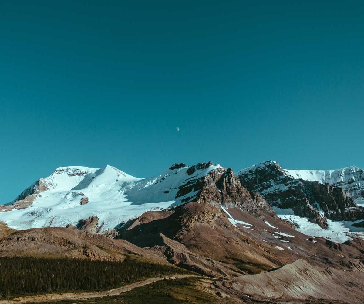 [EN] Curver Dog Food Container 10kg (Linen unde #478)