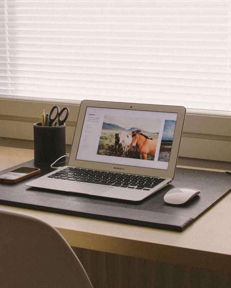 [EN] PetRebels Wall of Rebels scratching post (Lime enim #203)