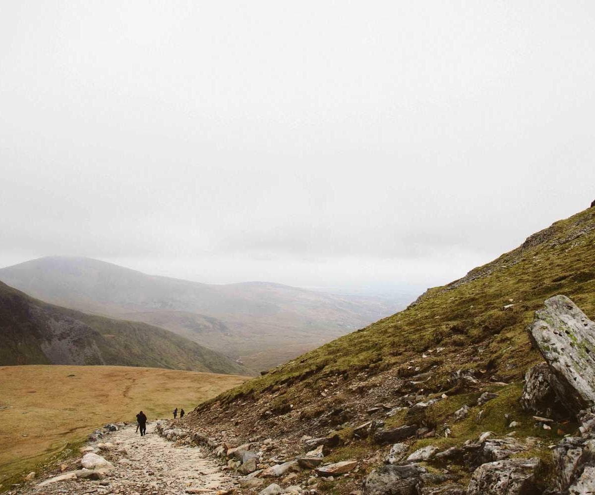 [EN] Freezack Single Dinner Bowl for Dogs (MediumAquaMarine quia #158)