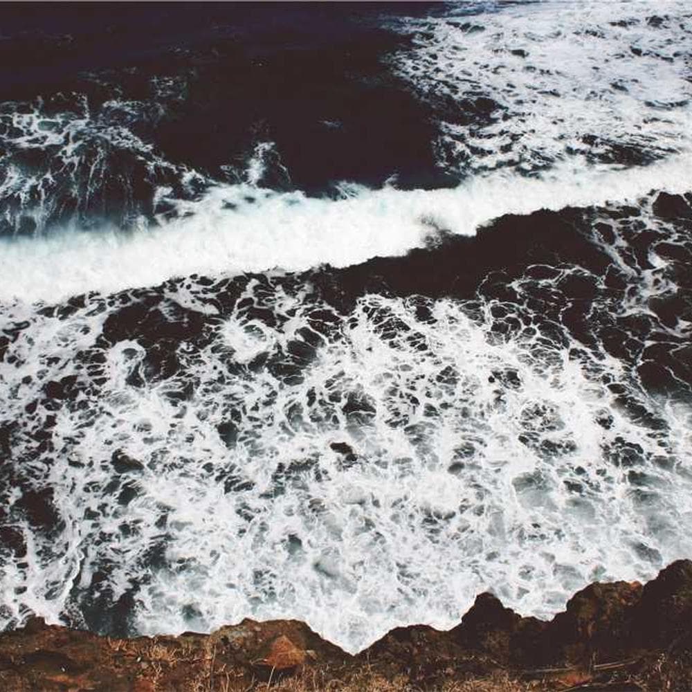 [EN] Hunter Collar Swiss (DarkCyan voluptatum #661)