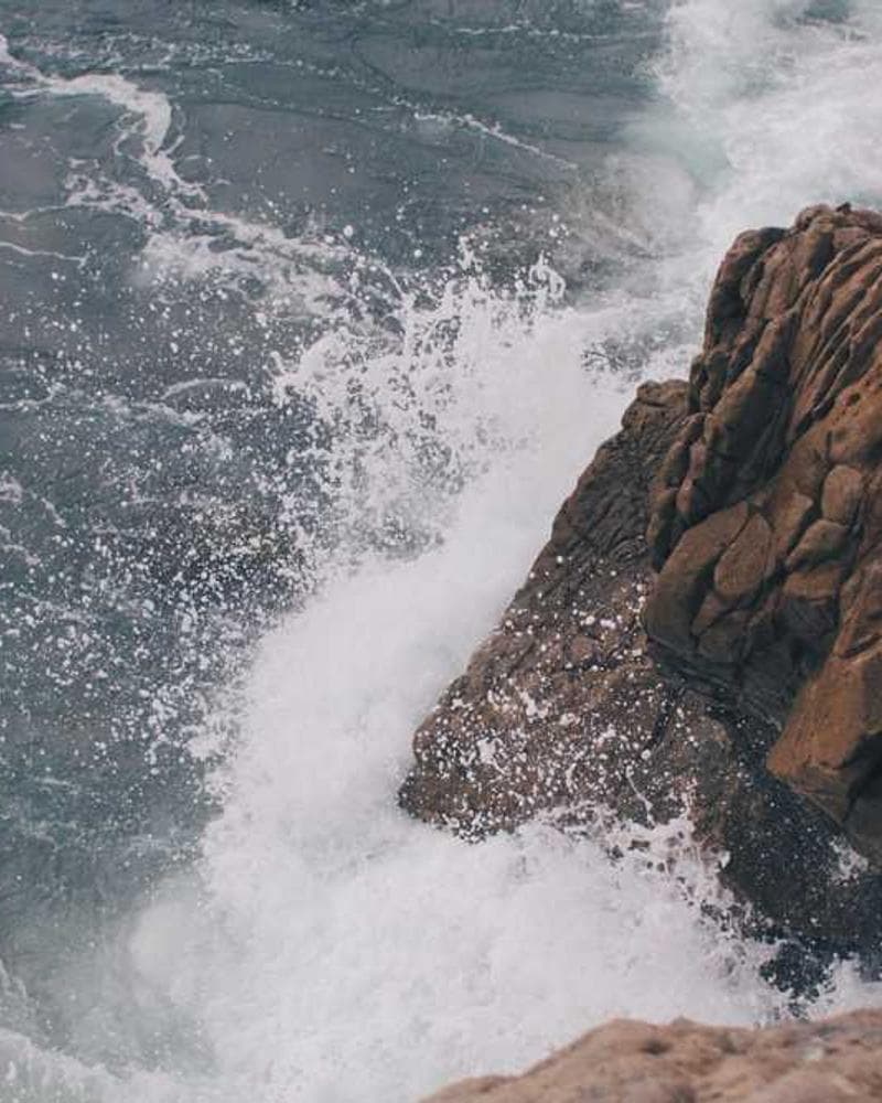 [EN] Trixie Cat Toy Mouse (Crimson natus #790)