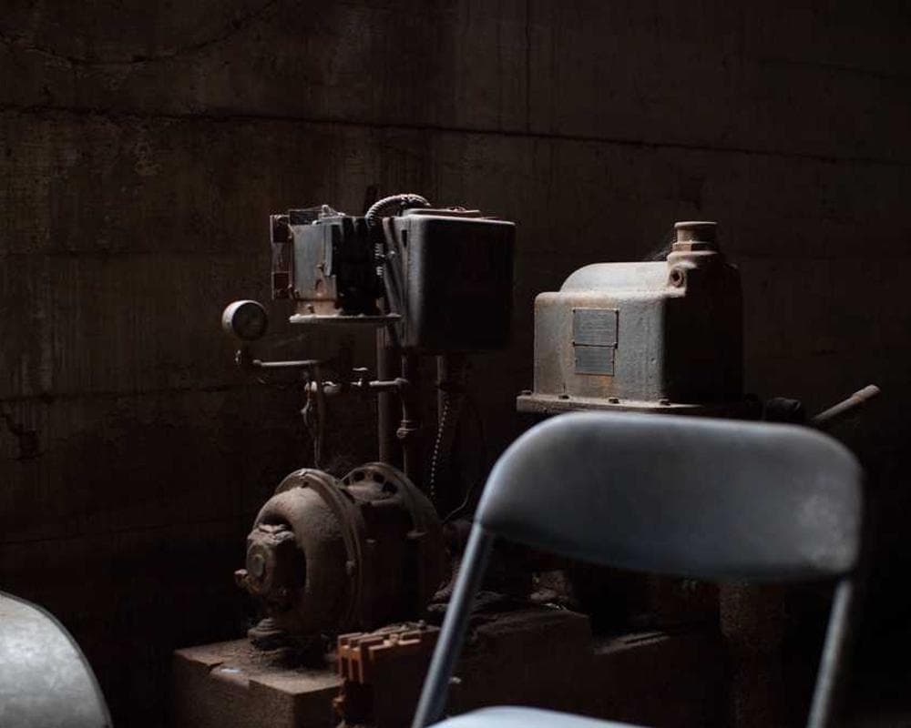 [EN] Hunter Collar Swiss (GoldenRod quisquam #482)