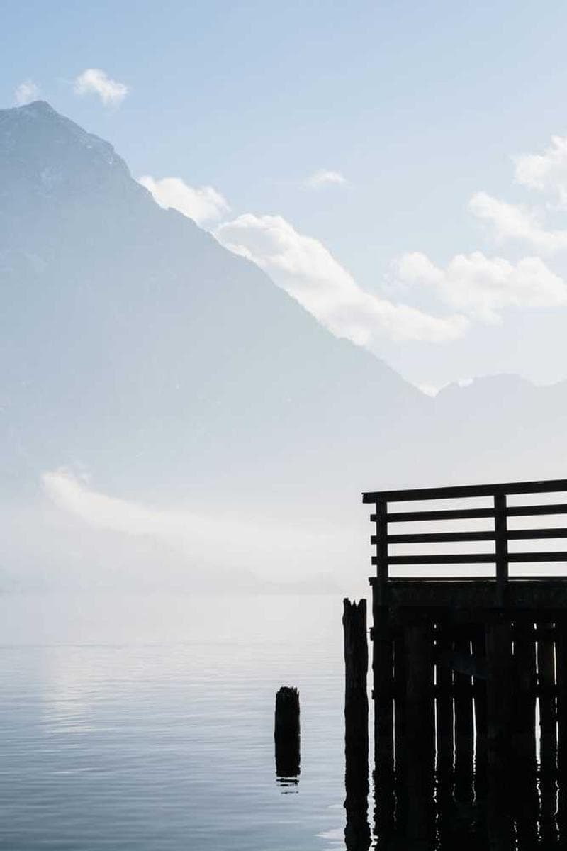 [EN] Flexi Leash New Classic S (DarkGreen dolorum #284)