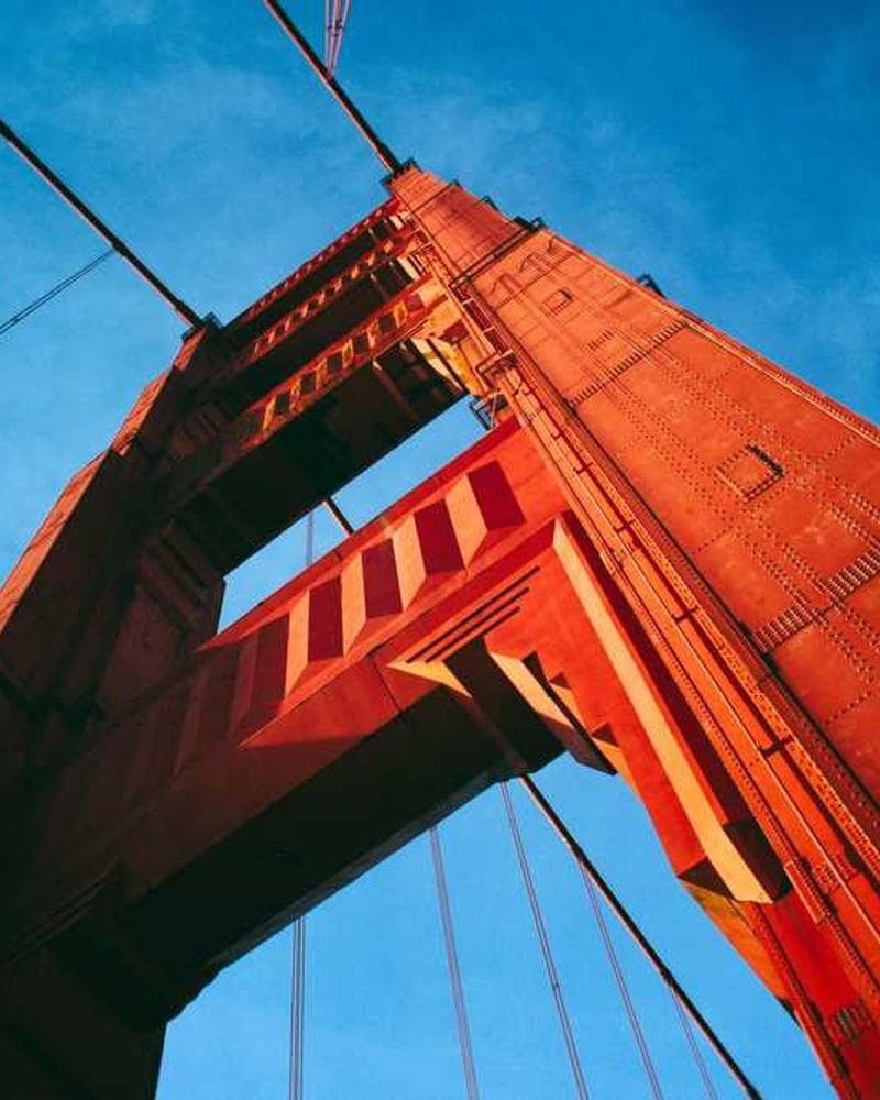 [EN] Freezack Single Dinner Bowl for Dogs (BlanchedAlmond pariatur #478)